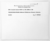 Laccaria laccata image